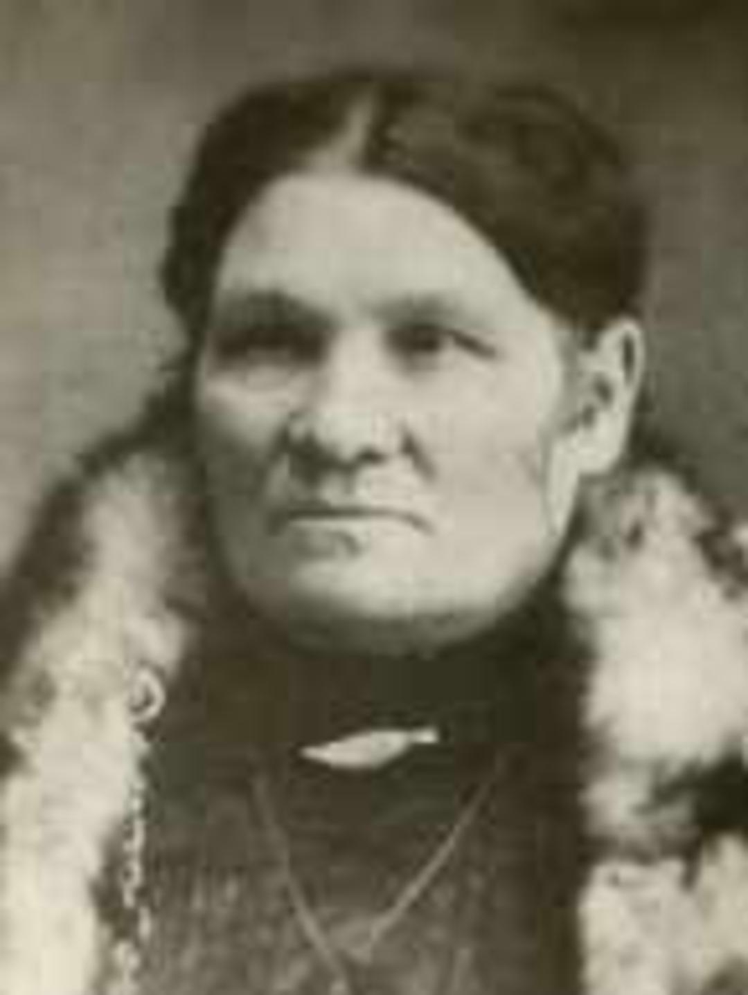 Louisa Fleet Smart (1846 - 1922) Profile